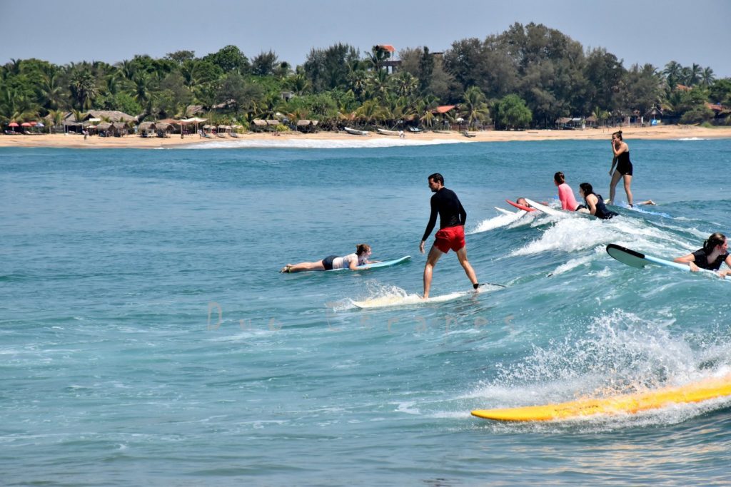 Arugam Bay Surfing