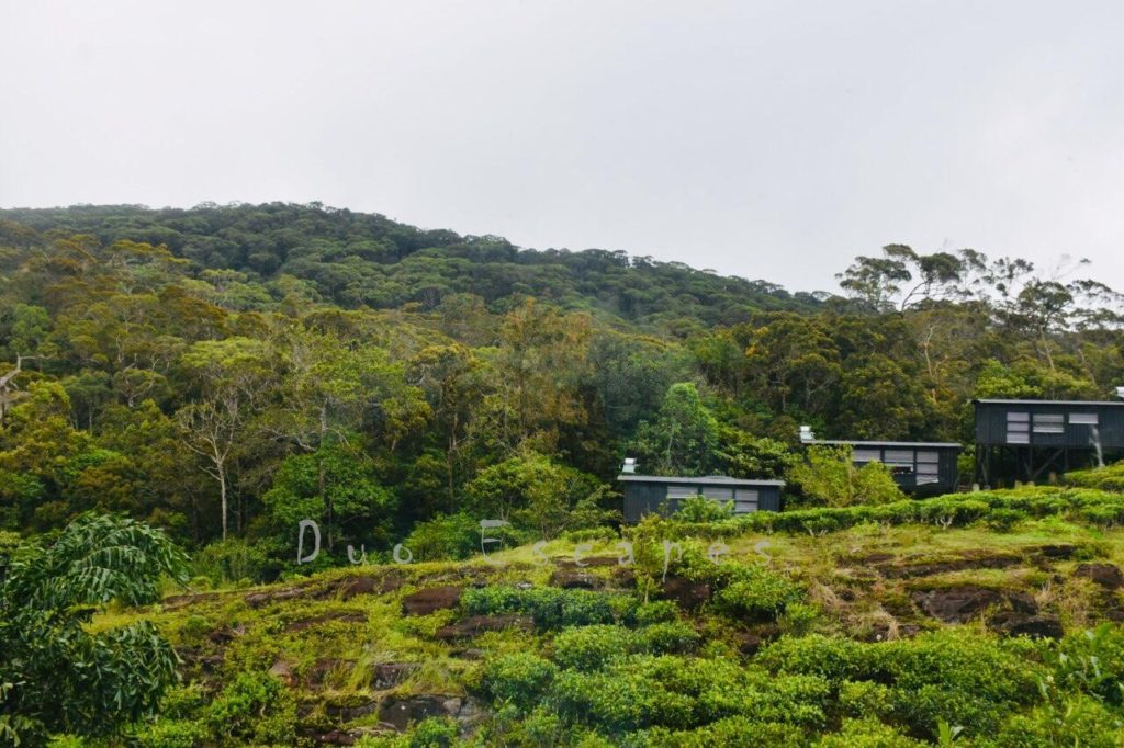 Villa, Rainforest Eco lodge, Duo Escapes